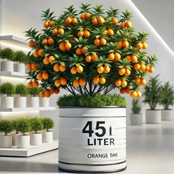 Orange Spain 45L