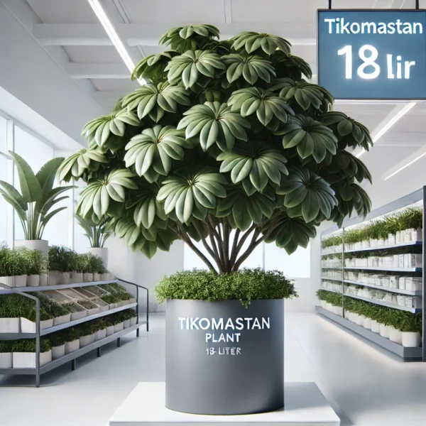 Tikomastan 18L